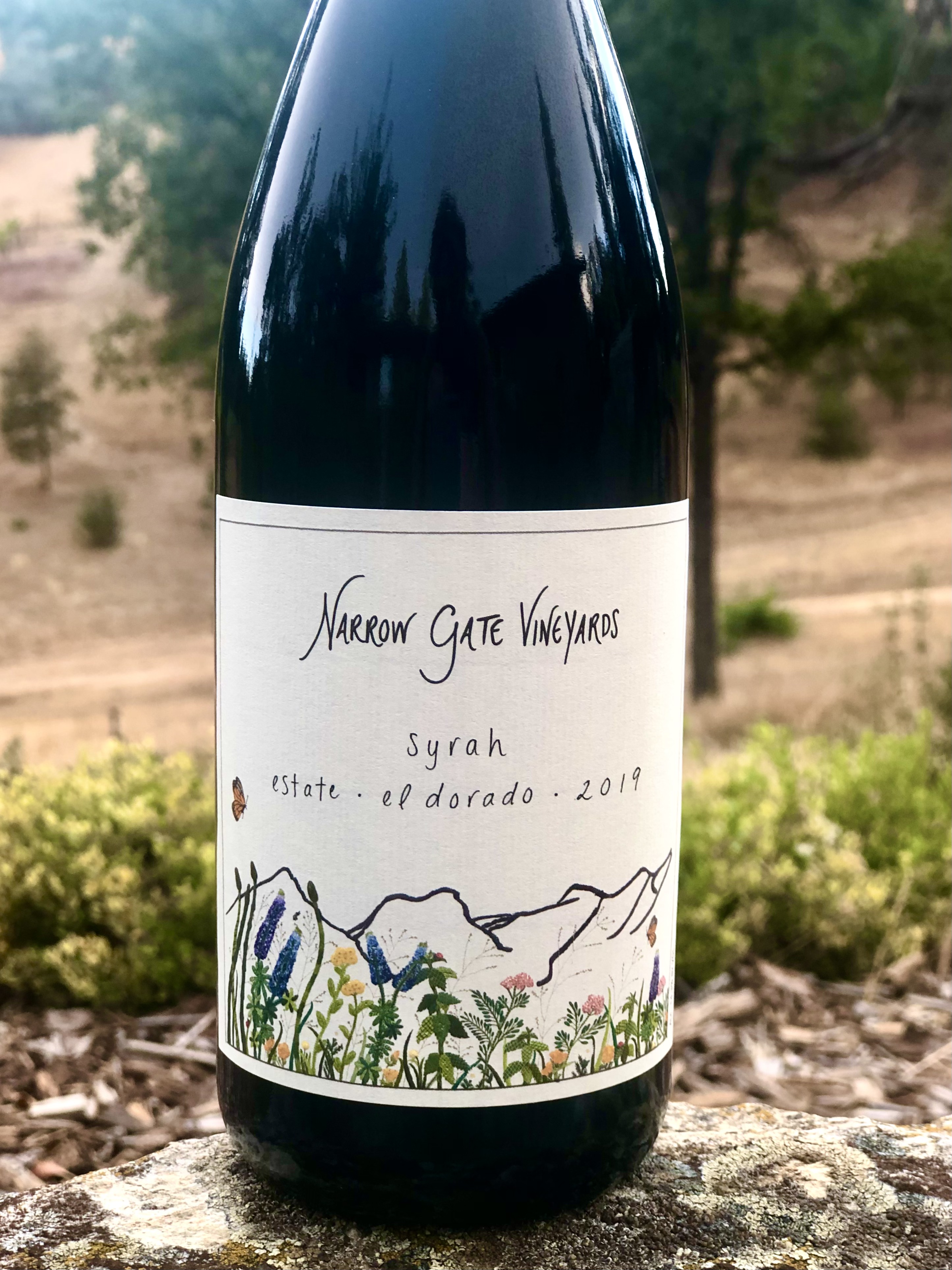 Product Image for 2019 Syrah, Estate